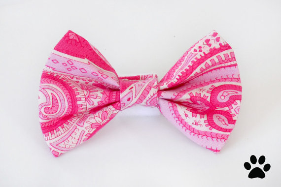 Hochzeit - Pink and white paisley pet bow tie - cat bow tie, dog bow tie, collar attachment