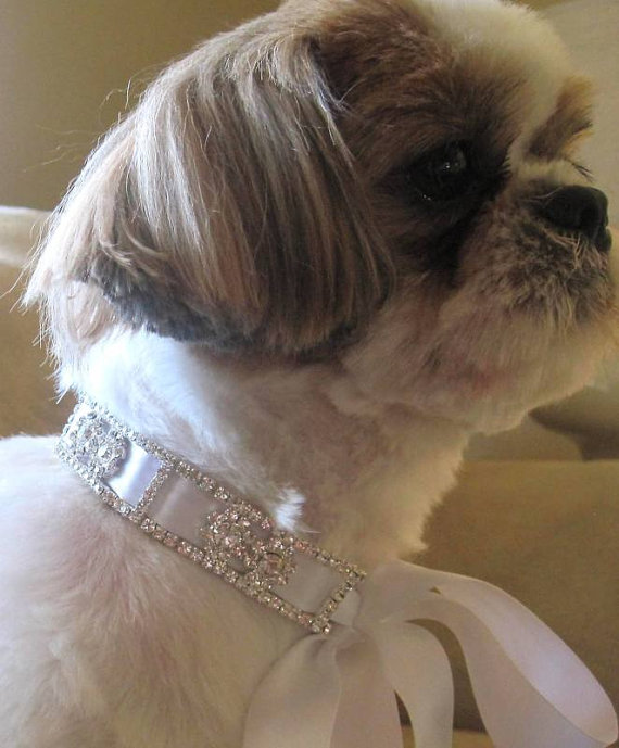 زفاف - Dog pet rhinestone collar with ribbon wedding