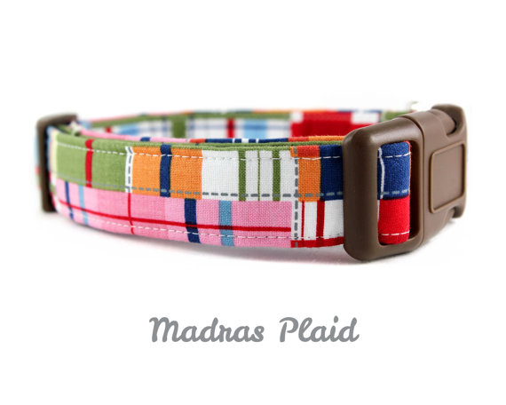 زفاف - Plaid Dog Collar - Madras Plaid - Made to Order in Your Choice of Size