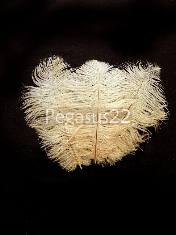 زفاف - IVORY Ostrich Feather Drab.  Pristine D.I.Y. feathers for hats, fascinators, wedding centerpieces, bouquets and millinery (3 Feathers)