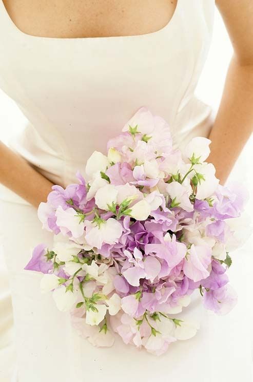 Свадьба - Lavender & Lilac