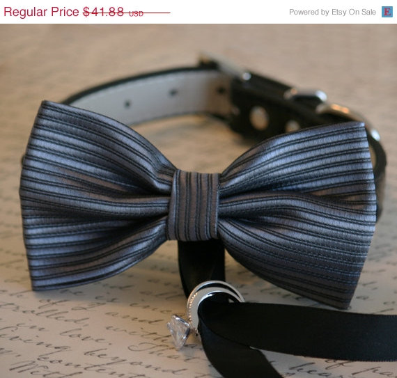 Hochzeit - Charcoal Dog Bow Tie, Dog ring bearer, Pet Wedding accessory, Pet lovers, Charcoal bow attached to black dog collar