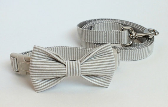 Hochzeit - Khaki Seersucker Collar and Leash Set, Wedding Set