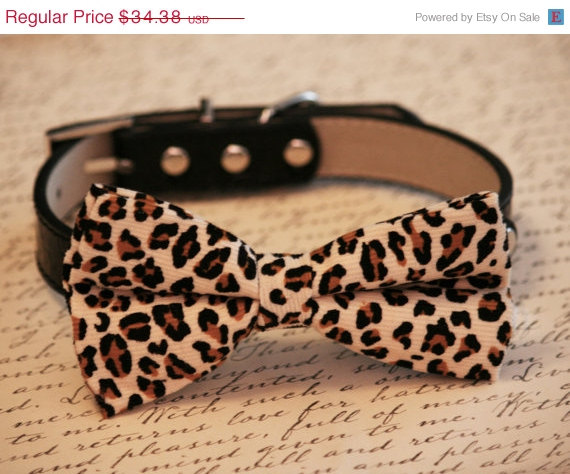 Wedding - Leopard Dog Bow Tie attach to black dog collar, Cute Dog Bow tie, Leather collar, Pet lovers, Unique dog collar