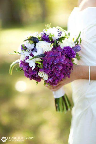 زفاف - Alyssa's Bridal Partay