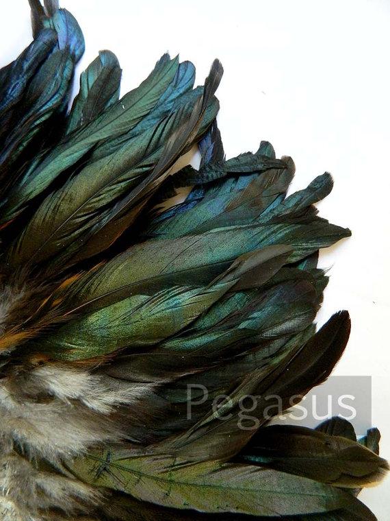 Wedding - Black Iridescent Emerald Rooster Coque Feathers (4-6 inches long)(12 Feathers) DIY craft material for millinery, masks and hair fascinators