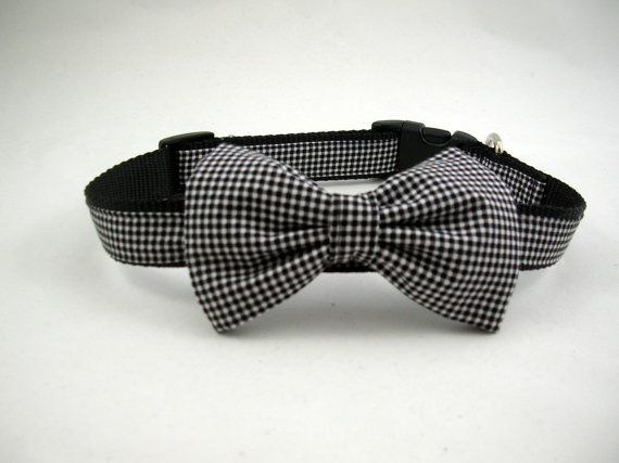 Свадьба - Boy Dog Collar/Leash with Bow Tie