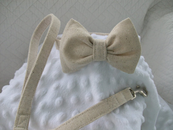 زفاف - Wedding Leash and Collar Dog Collar and Leash Set