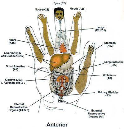 Wedding - Korean Reflexology: 'Koryo Hand Therapy'!