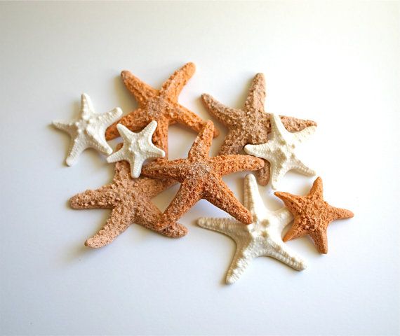 زفاف - Edible Starfish / Edible Echinoderms / Edible Sea Stars - 16 - Cake Decoration Or Stand Alone Decorative Sweet