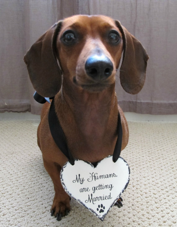Wedding - Dog sign - my Humans are Getting Married -One sided - HEART for small Dog or Baby,3x4 inch Wedding Sign, Ring Bearer Sign