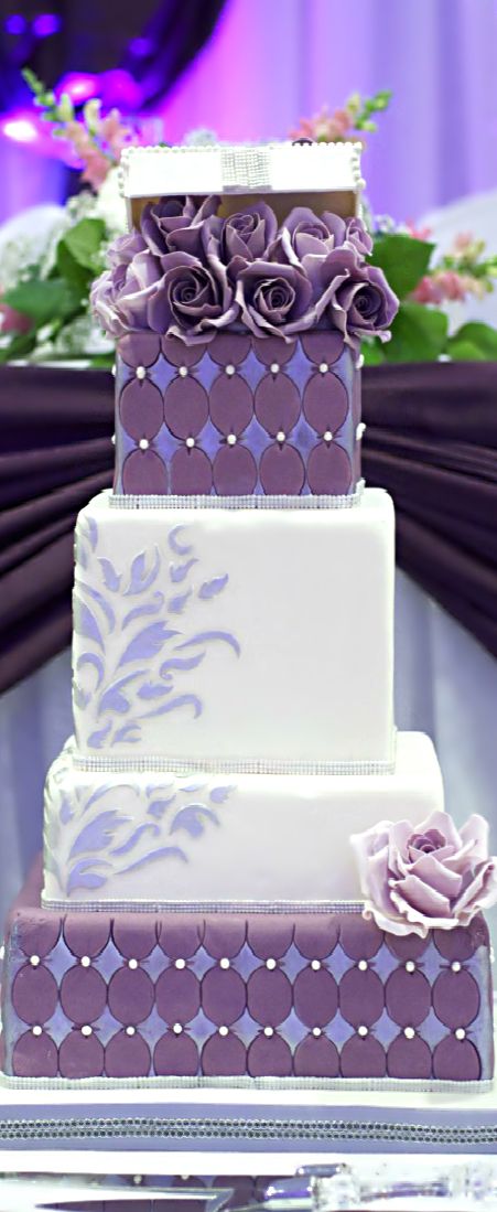 زفاف - Wedding Cake Sexy