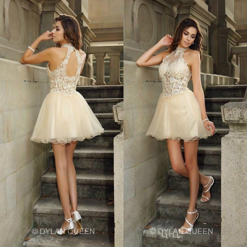 Hochzeit - New Arrival Halter Ivory Short Prom Dresses with Lace Applique Hollow Back Mini Organza Sheer Sexy Short Party Dresses 2015 Ball Gowns Online with $101.6/Piece on Hjklp88's Store 