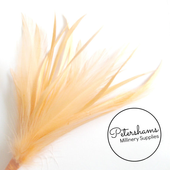 Hochzeit - Goose Biot & Hackle Feather Hat Mount Trim for Fascinators, Wedding Bouquets and Hat Making Peach
