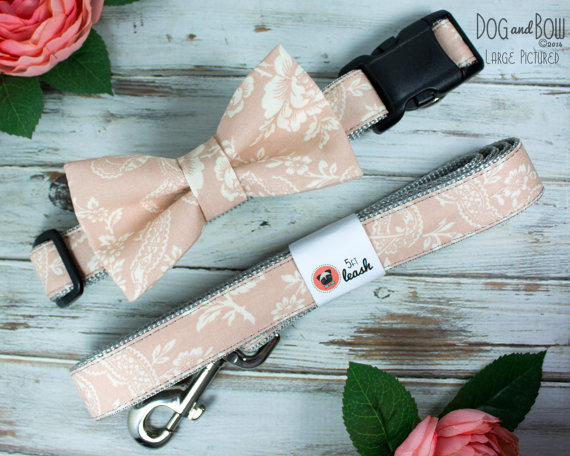 زفاف - Paris Pink Dog Collar with Optional Leash, Removable Bow Tie, or Flower