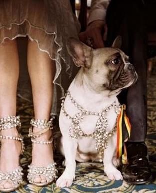 Hochzeit - (Dogs At Weddings)