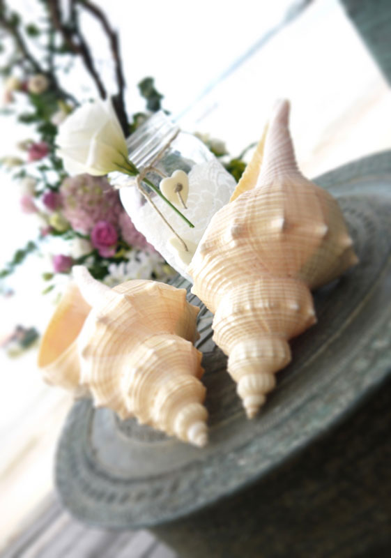 Mariage - Sand Ritual with Shells