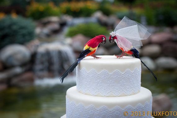 زفاف - Tropical Parrot Cake Topper: Scarlet Macaw Bride and Groom Wedding Cake Topper