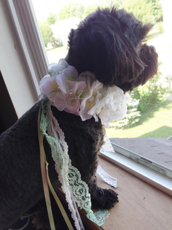 Hochzeit - WEDDING FLOWER COLLAR - Pale Green flower Fancy  Dog collar,Pet Wedding,Ties on, Dog Wedding, Pet Corsage, Dog flower , Dog Bow