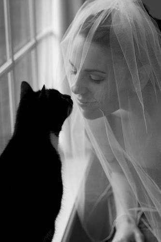 زفاف - Pets