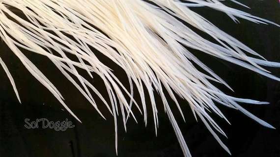 زفاف - Bridal Accessory White Feathers Wedding Hair Accessories Feather Hair Extensions Qty10