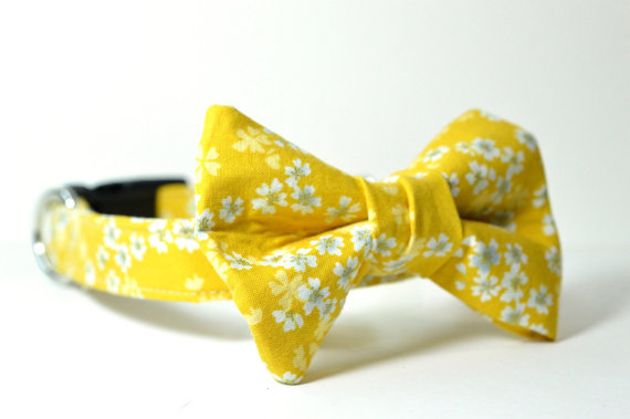 زفاف - Designer Dog Collar & Bowtie - CUSTOM - yellow cotton with white flowers - bowtie dog collar, mustard, hippy, Spring