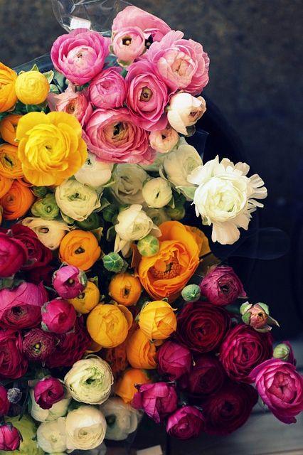 Wedding - Flowers & Greenlife