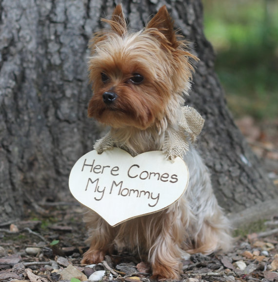 Hochzeit - Puppy Sign Here Comes my Mommy Dog, Flower Girl, Ring Bearer Sign Rustic Wedding