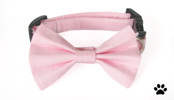 Wedding - Light pink - cat and dog bow tie collar set, pink wedding bow tie, pink dog collar bow, pink cat bow, pink cat collar set