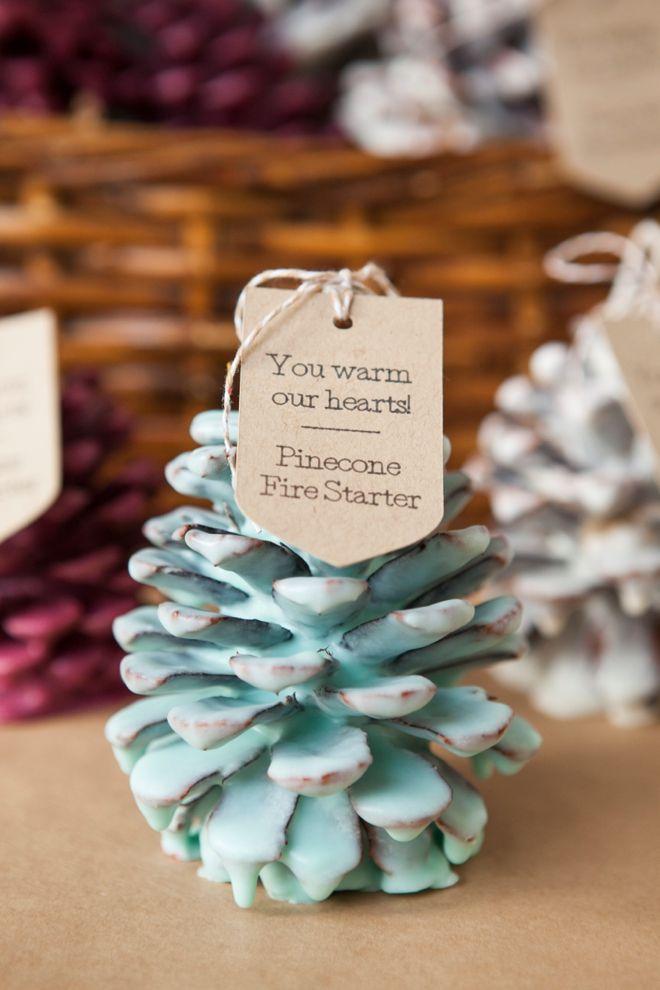 Wedding - Learn How To Make Your Own Pinecone Fire Starters!