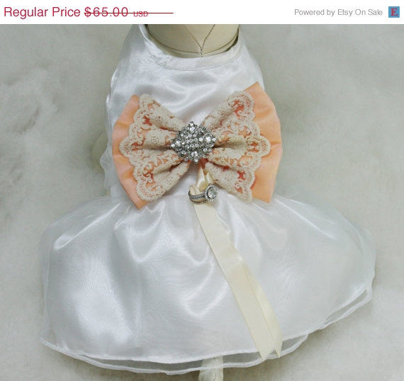 Hochzeit - Peach Lace Dog dress, Dog ring bearer,Peach pet Wedding accessory, Vintage wedding, Proposal, Lace-Rhinestone,Victorian Wedding,Peach dress