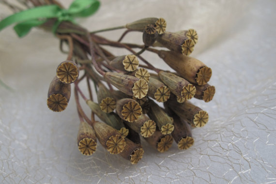 Hochzeit - Bunch of dried poppy pods - Craft supply - Home decor - Natural Bouquet - Dry flowers - Floral supply - Mini poppy pods