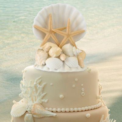زفاف - Seashell Cake Top
