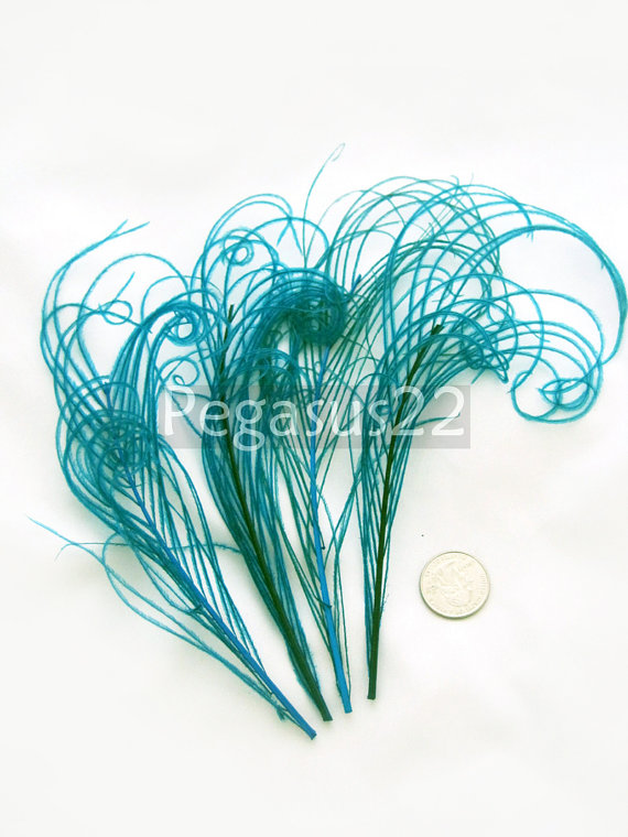 زفاف - TEAL Blue peacock feather sprigs curled for hats, fascinators, headdresses, and floral arrangements. (5-8 Inches Long)(4 SPRIGS)
