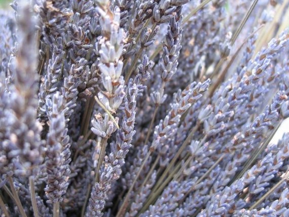 Wedding - Organic  Dried Lavender 10 bunches