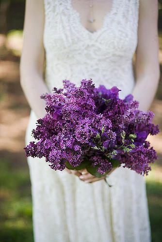 Hochzeit - Passionte Purple 