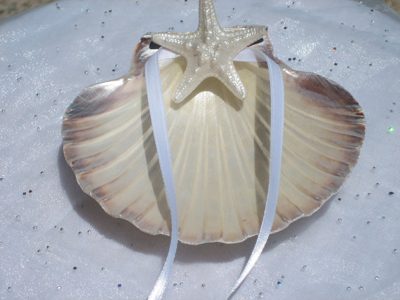 Mariage - Beach Wedding-Pearlized Scallop Ring Bearer Shell accented with small starfish and White Ribbon-