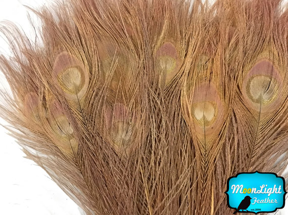 Wedding - Peacock Feathers, 5 Pieces - LIGHT BROWN Bleached and Dyed Tails Peacock Feathers: 1333