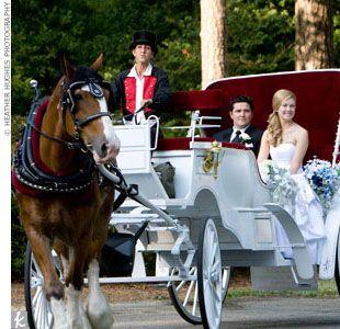 Hochzeit - Wedding Transportation