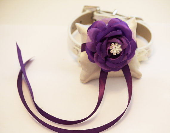 Wedding - Purple Ring Pillow attach to the High quality Dog Leather  Collar, Ring Bearer Pillow, Wedding Dog Accessories