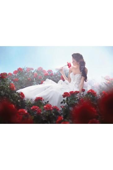 Свадьба - Alfred Angelo Wedding Dresses Style 217 Belle