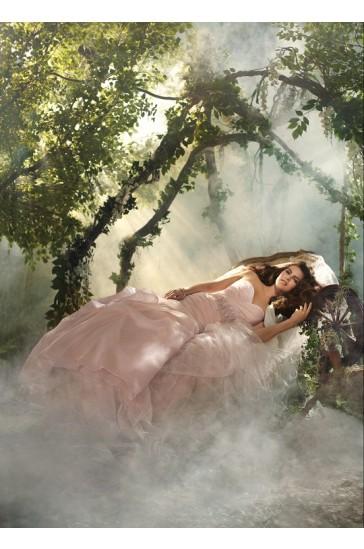 Mariage - Alfred Angelo Wedding Dresses Style 218 Sleeping Beaty