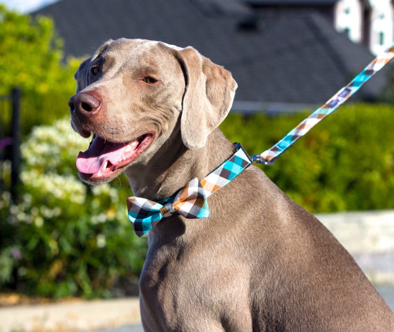 زفاف - Plaid Emerald Designer dog Bow Tie, collars, bowtie collar leash, Dog and Cat Collar, Bow Tie Dog, Wedding Dog Collar