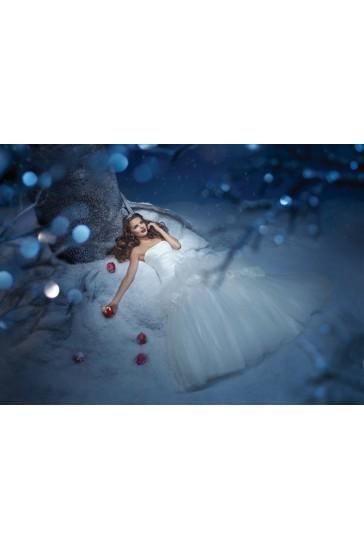 Hochzeit - Alfred Angelo Wedding Dresses Style 211 Snow White