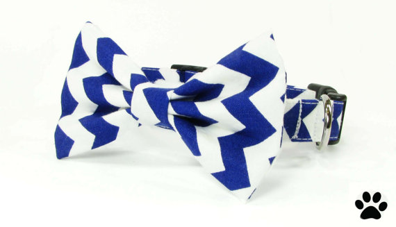 زفاف - Blue and white chevron - cat and dog bow tie collar set, chevron dog collar bow, chevron dog bow collar, chevron cat collar, blue chevron