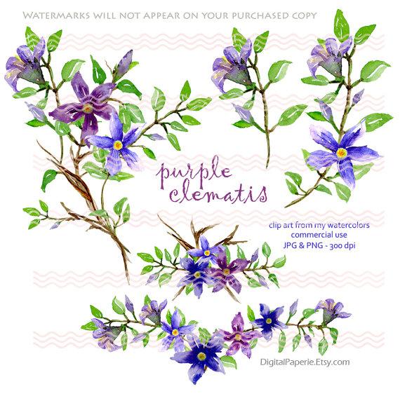 Mariage - Digital Watercolor Purple Clematis Bouquets (5) Graphic Clip Art 300 dpi in JPG and PNG Commercial Use