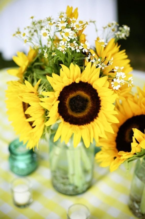 زفاف - Sunflowers