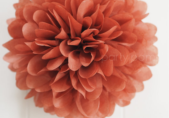 Mariage - Cinnamon .. tissue paper pom .. wedding and party decorations