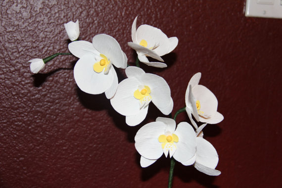 زفاف - Paper Phalaenopsis  Orchid ,Moth orchid,  White - Crepe Paper flowers- Orchid wedding bouquet