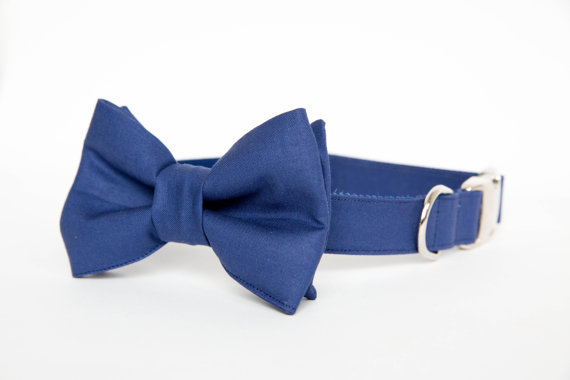 زفاف - Dog Bow Tie Collar - Navy Gentleman's Collar